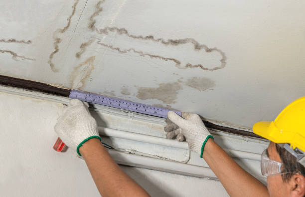 Reliable Flood Cleanup contractor in Jacksonville, IL by Water Damage Irwin